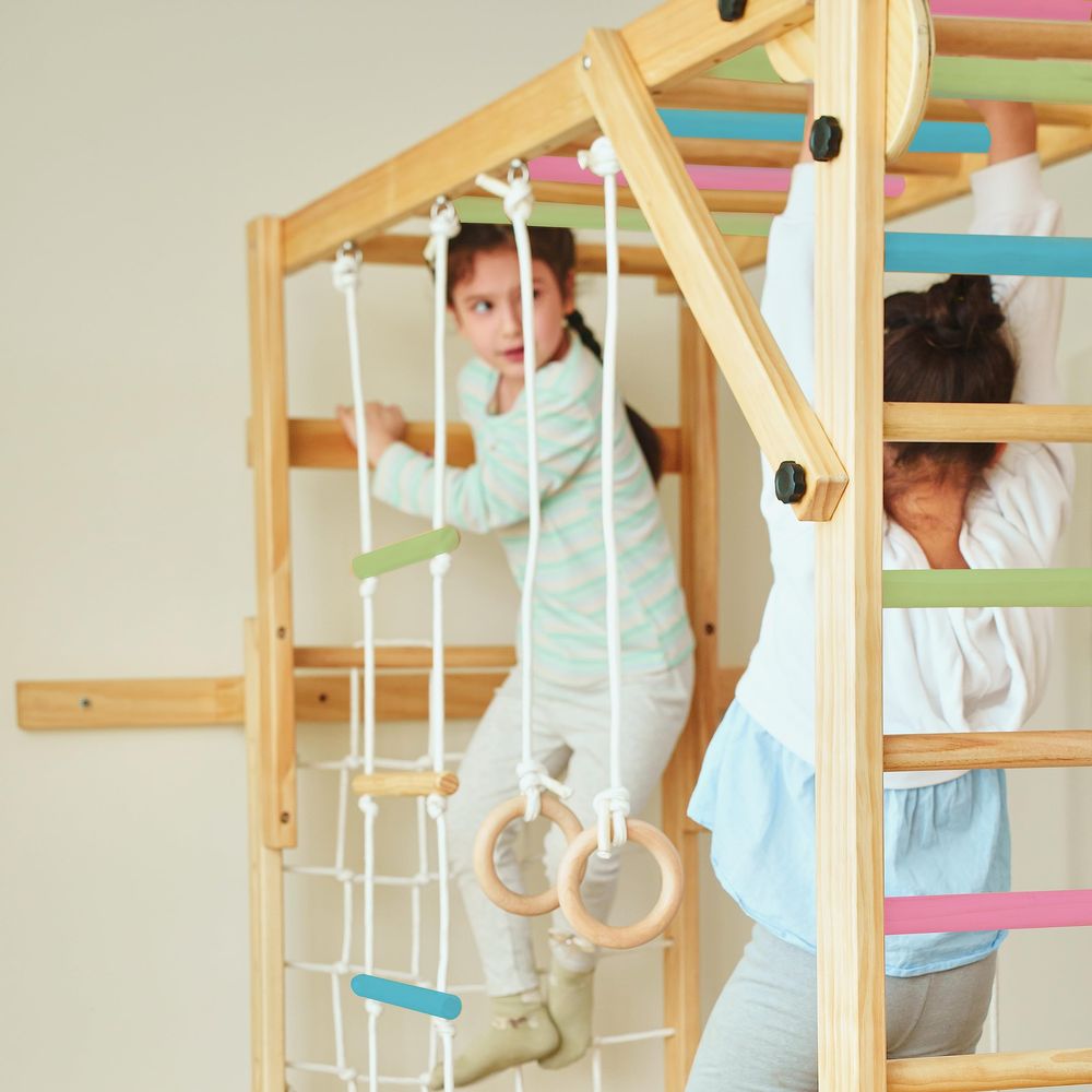 Grove 8in1 Indoor Jungle Gym w - Gymnastic Ring Wood recensione e prezzo