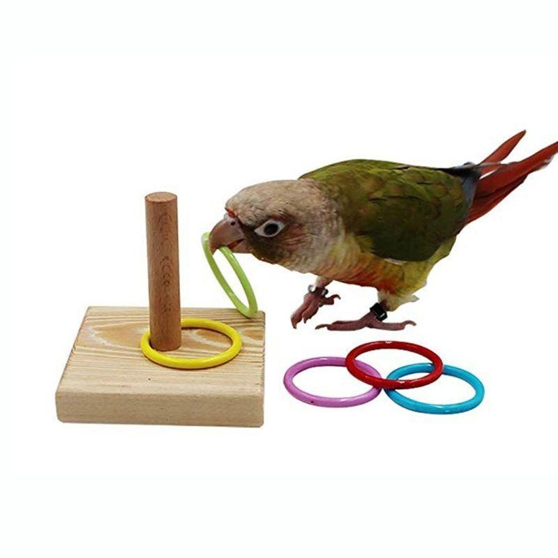 Bird Training Ring Toy Parrot  - Gymnastic Ring Wood recensione e prezzo