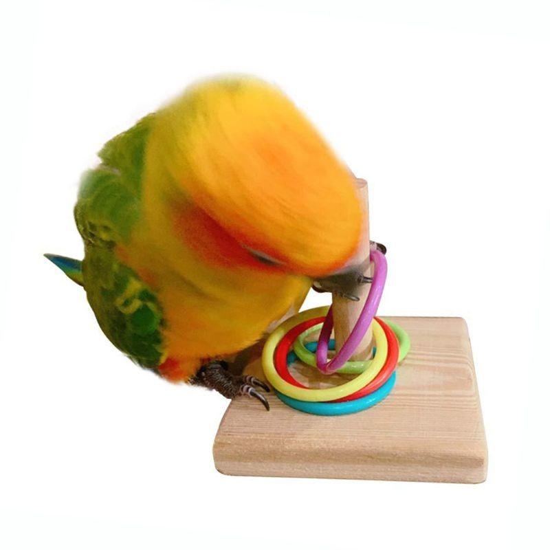 Bird Training Ring Toy Parrot  - Gymnastic Ring Wood recensione e prezzo