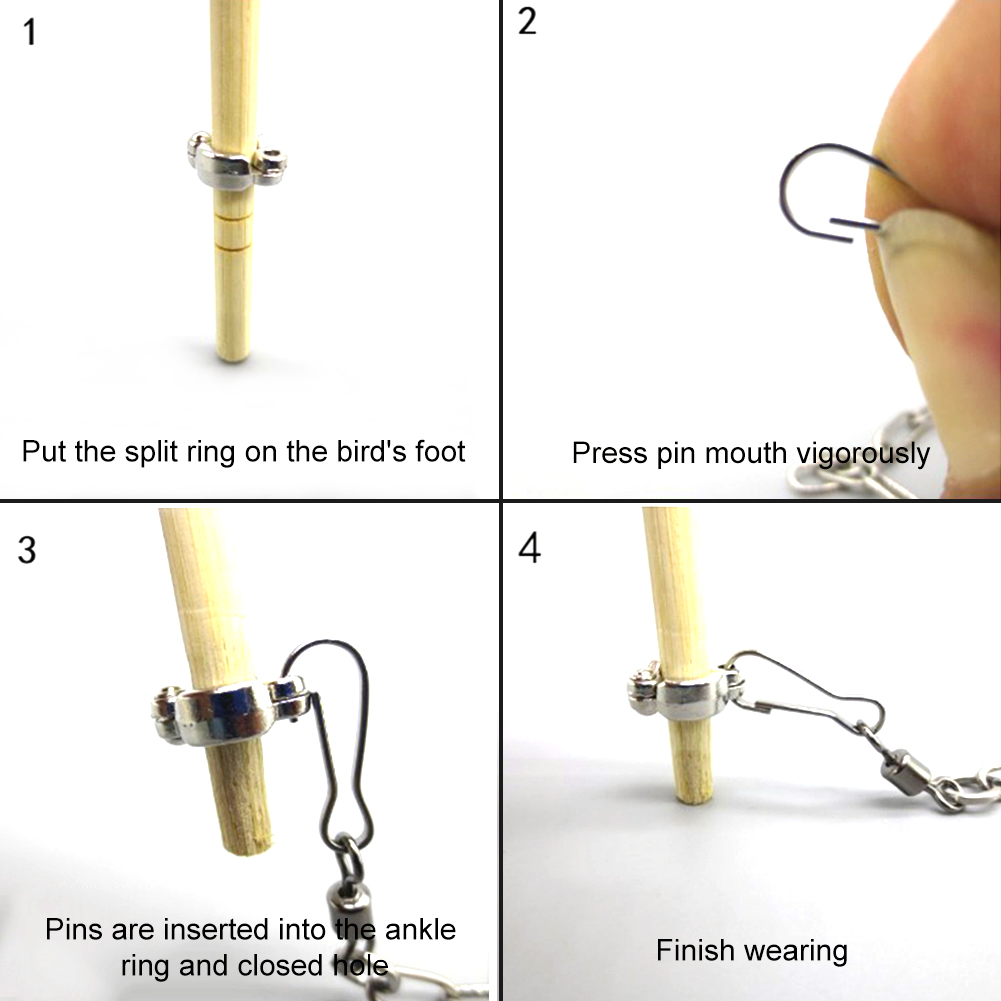 1Pcs Pet Parrot Leg Ring Ankle - Gymnastic Ring Wood recensione e prezzo